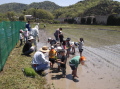 田植え201308