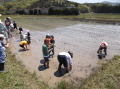 田植え201311