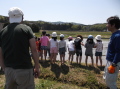 2014田植え07