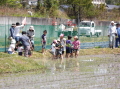 2014田植え15