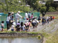 2014田植え16