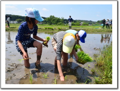 2016田植え02