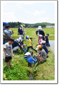 2016田植え05