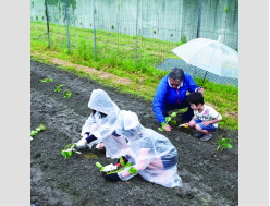 2018田植え01