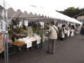2019神山Deフリマ03